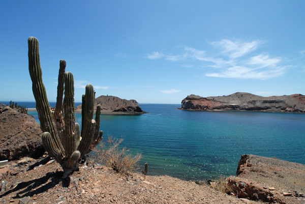 bahía de los ángeles, baja california