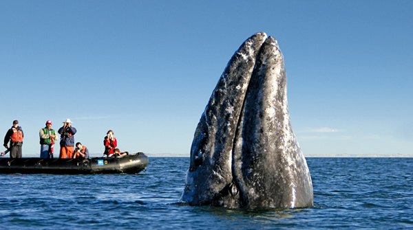 turismo en baja california