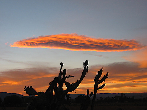 el chilarillo, aguascalientes