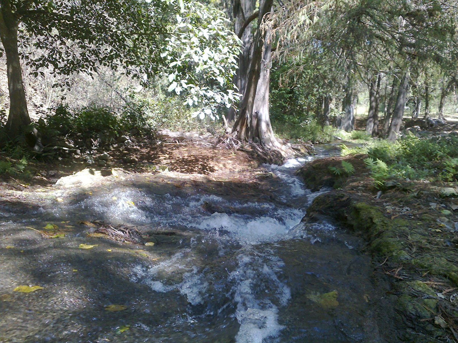 Cruz Ancha, Chiapas