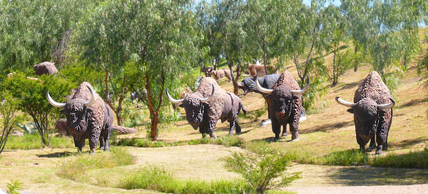 el caracol, aguascalientes