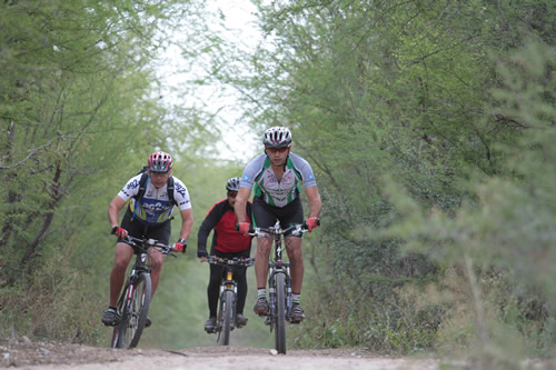 Sierra de Jimulco, Coahuila