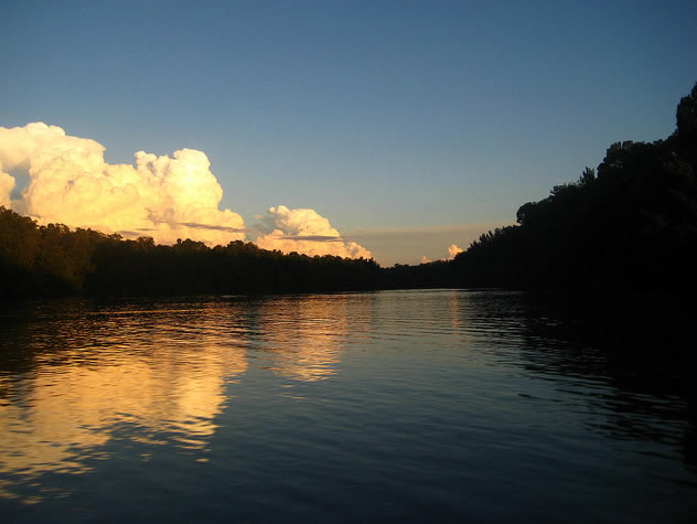 Estero las Palmas, Chiapas
