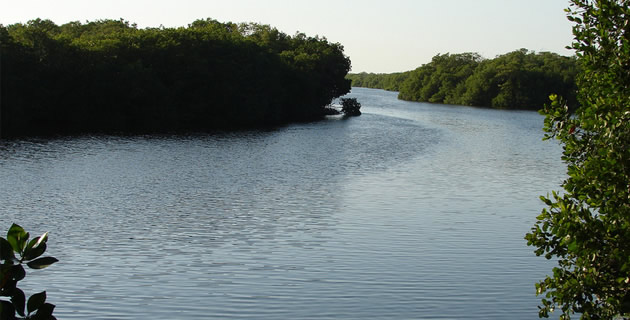 reserva de la biosfera los petenes, campeche