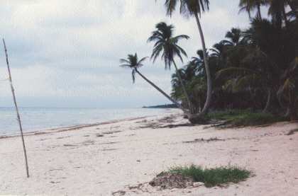 playa caracol, campehe