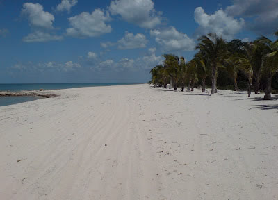 punta chen, campeche