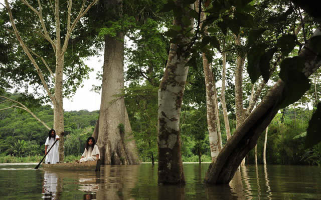 Ruta por la Selva Chiapaneca
