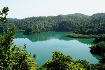 Ruta por la Selva Chiapaneca
