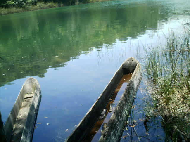 Ruta por la Selva Chiapaneca