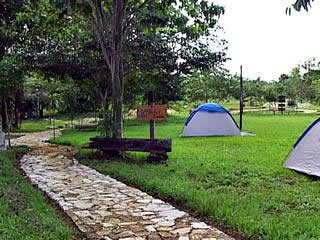 Ruta por la Selva Chiapaneca