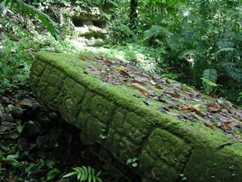 Ruta por la Selva Chiapaneca