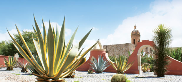 hacienda el tepozán