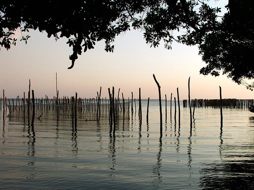 laguna de términos, campeche