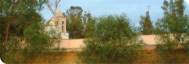 hacienda la trinidad