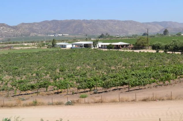 valle de ojos negros, baja california
