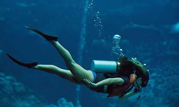 Buceo en Guerrero