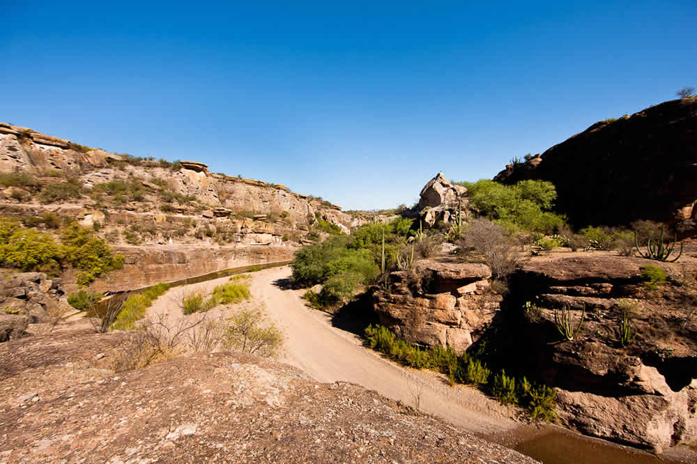 Sierra de Cucurpe, Sonora