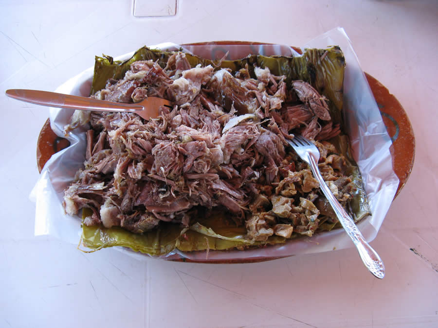 Actopan, Hidalgo