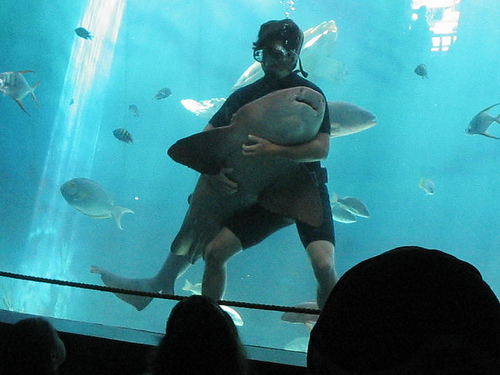 Acuario y Jardín Botánico, Sinaloa