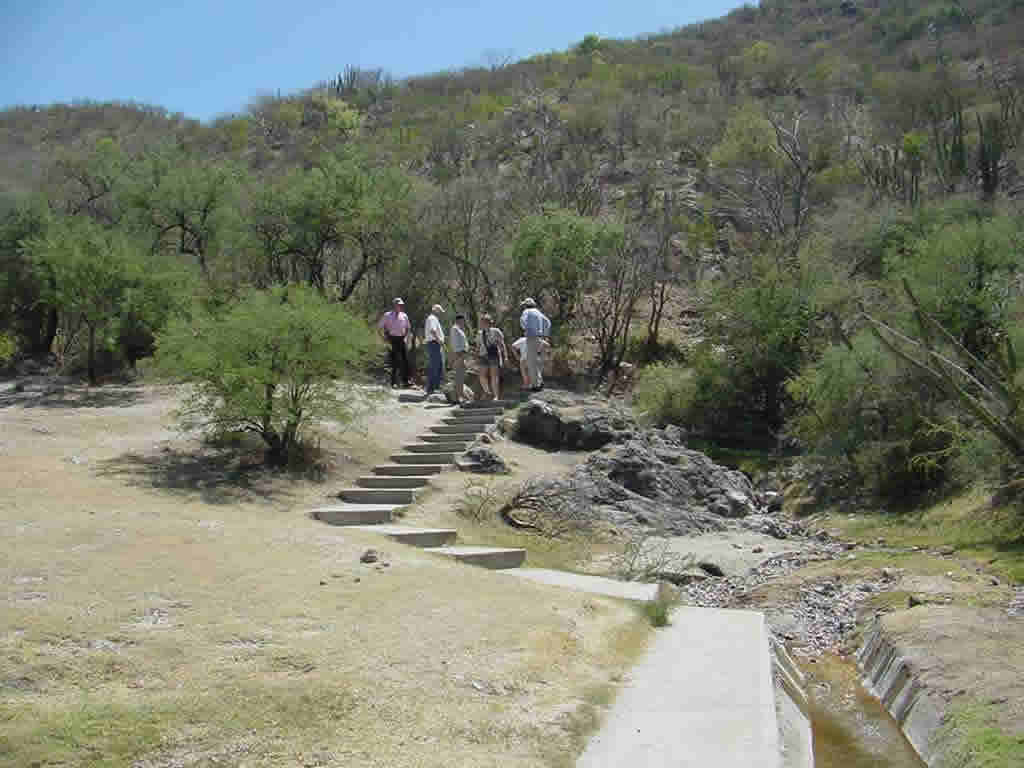 Sierra de los Ajos, Sonora