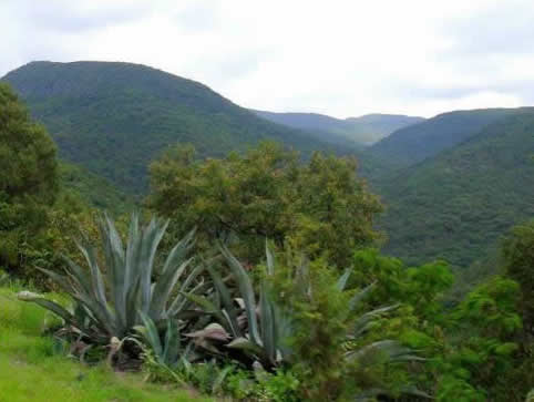 Sierra de Alvarez, San Luis Potosí