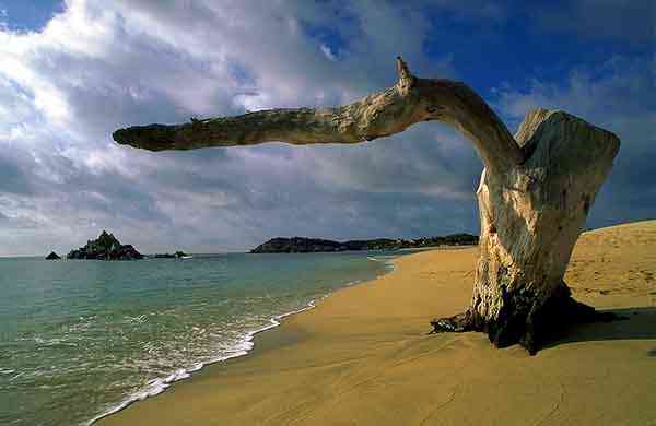 Bahía San Agustín, Oaxaca