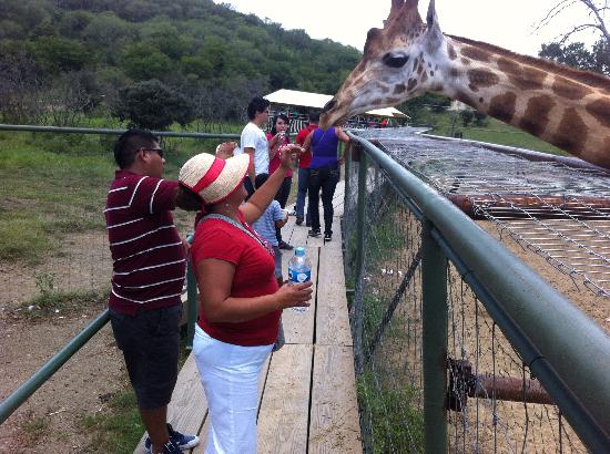 Bioparque Estrella, Nuevo León