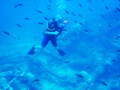 Buceo en Barcos Hundidos, Veracruz