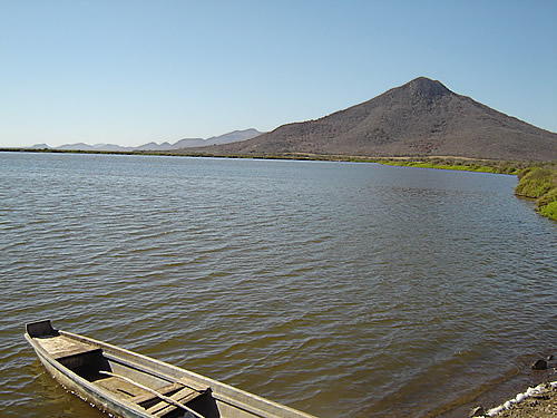Laguna del Caimanero, Sinaloa