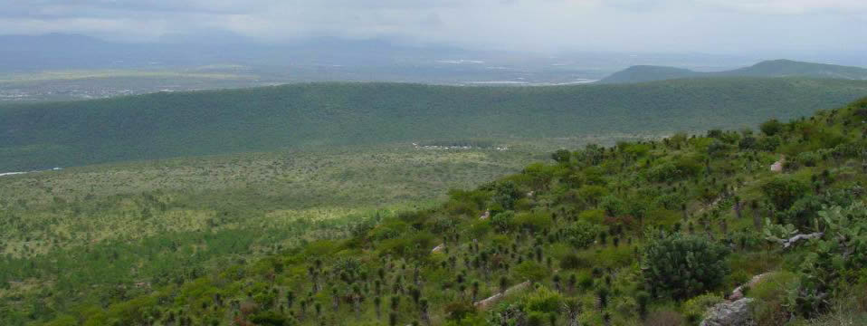 Parque Nacional el Cimatario, Querétaro