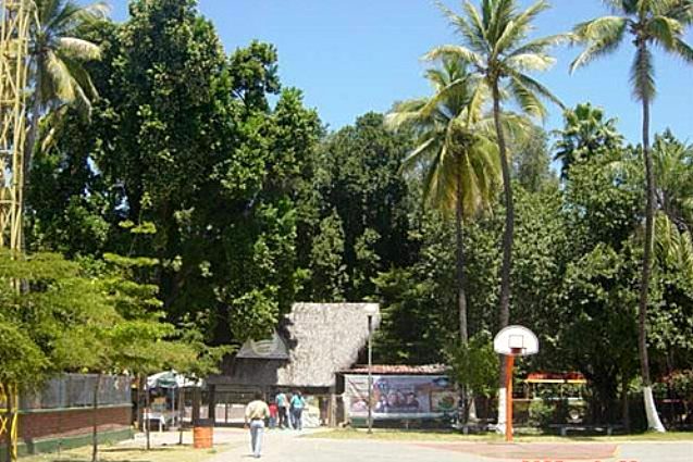 Parque Constitución, Sinaloa