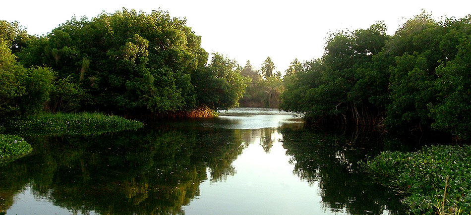 Coyuca, Guerrero