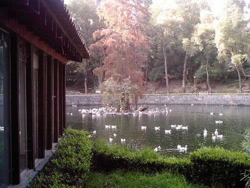 Fuentes Brotantes de Tlalpan, Ciudad de México