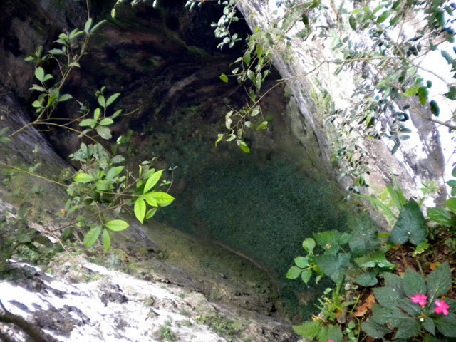 Sótano de las Guaguas, San Luis Potosí