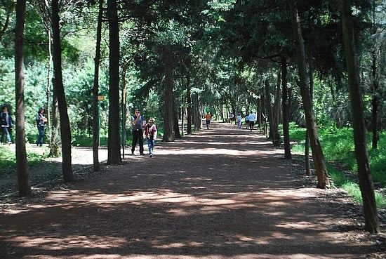 Historia de la Delegación Coyoacán, Ciudad de México