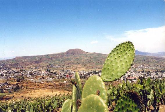 Historia de la Delegación Milpa Alta, Ciudad de México