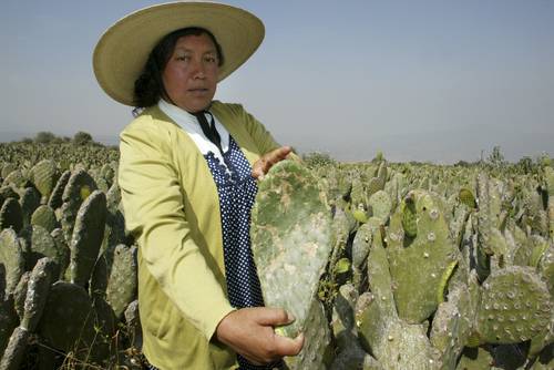 Historia de la Delegación Milpa Alta, Ciudad de México