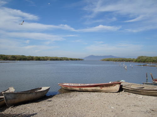 Laguna el Huizache, Sinaloa