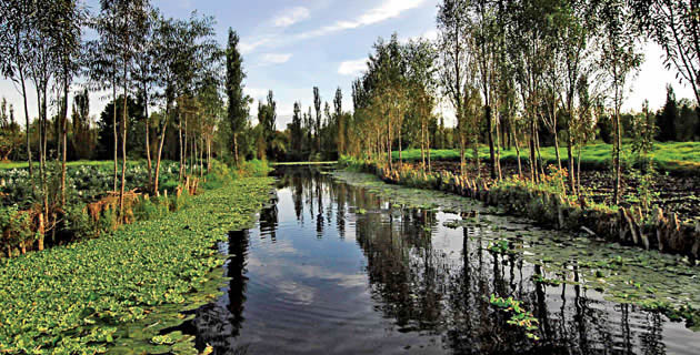 Historia de la Delegación Xochimilco, Ciudad de México
