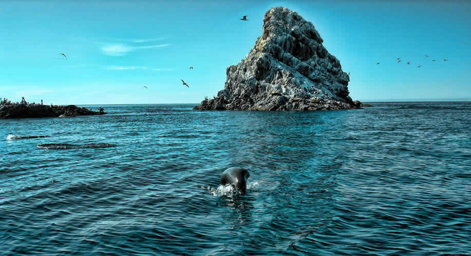 Islas San Jorge, Sonora