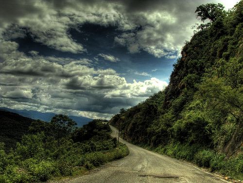 Sierra de Ixtlán, Oaxaca