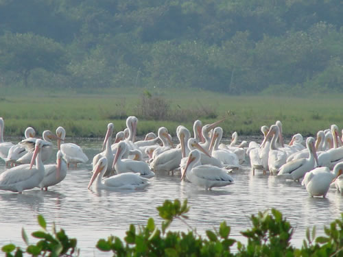 Laguna de Tamiahua, Veracruz