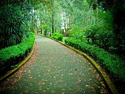 Parque Ecológico Macultépetl, Veracruz