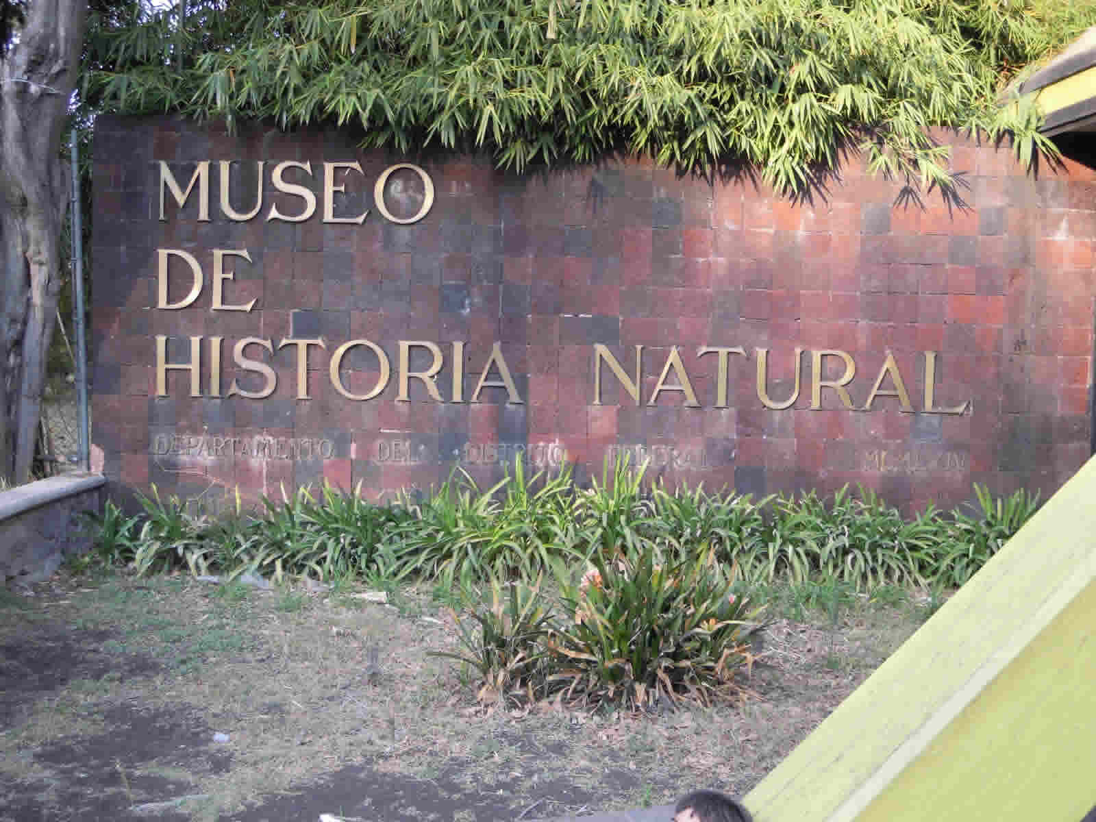 Museo de Historia Natural, Puebla