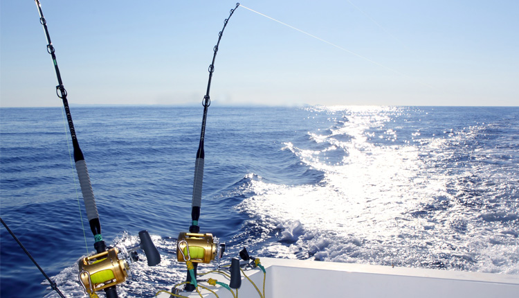 Pesca Deportiva en Guerrero