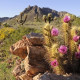 Reserva de la Biosfera de el Pinacate y Gran Desierto de Altar, Sonora
