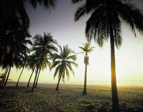 Playa La Zarza, Guerrero