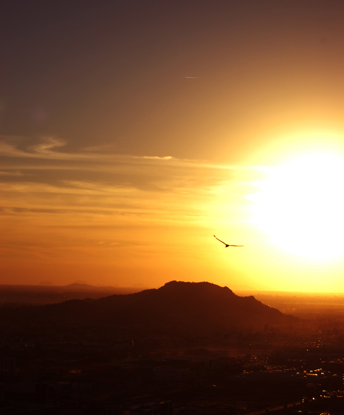 Hermosillo en Fotografías