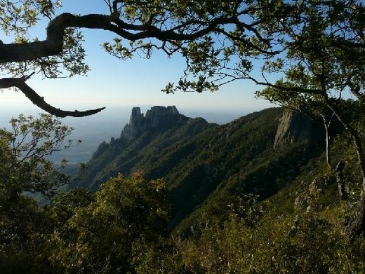 Sierra Álamos-Río Chuchujaqui