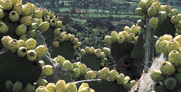 Pueblo Mágico Cadereyta de Montes, Querétaro